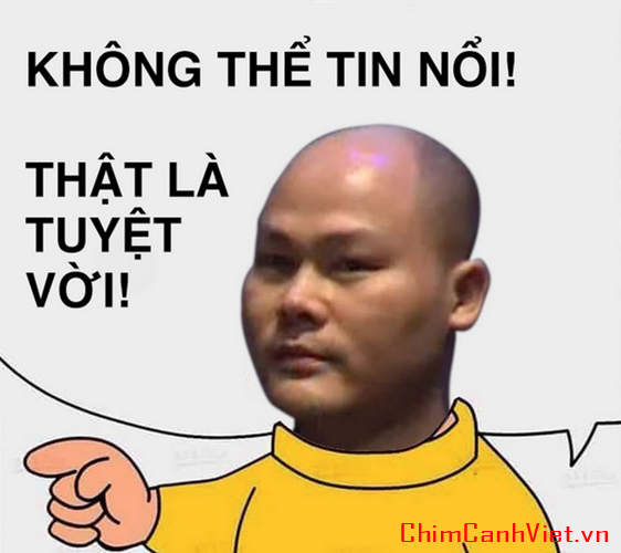 dan-mang-tung-loat-anh-che-bphone-khong-the-tin-duoc-hinh-6.png