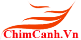 Diễn Đàn Chim Cảnh