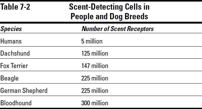 Sensory Perceptions