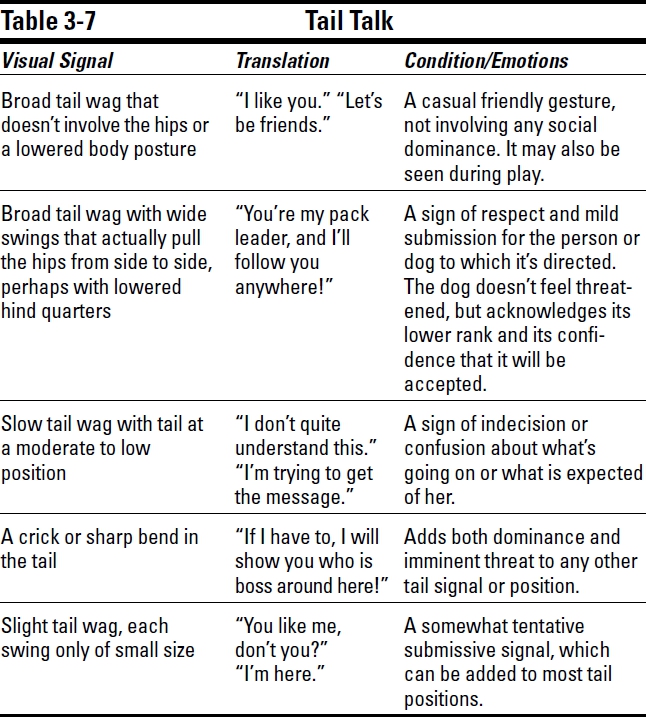 Communicating with Your Dog