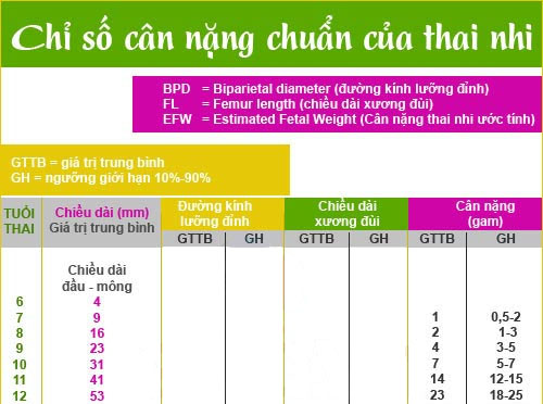 Bảng cân nặng thai nhi theo tuần tuổi Bảng cân nặng thai nhi theo tuần tuổi