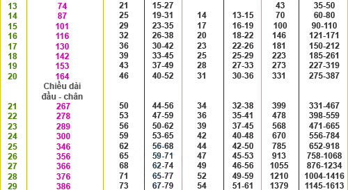 Bảng chỉ số chiều cao cân nặng đạt chuẩn của thai nhi