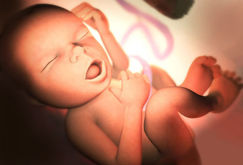 Những cột mốc quan trọng trong thai kỳ