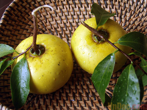 Chùm thơ hay cho bé