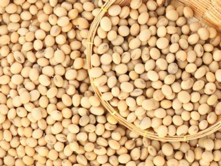 Thực phẩm gây dị ứng cho trẻ