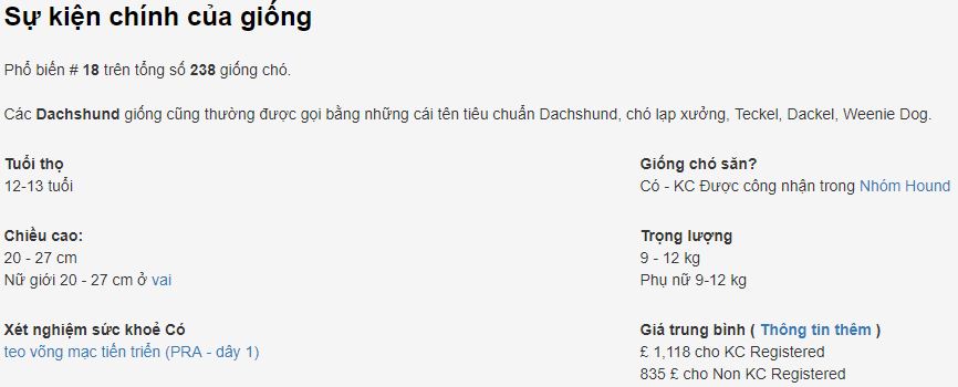 Giống Chó Dachshund Giống Chó Dachshund