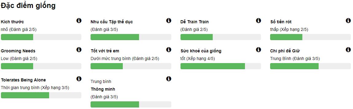 Giống Chó Dachshund Giống Chó Dachshund