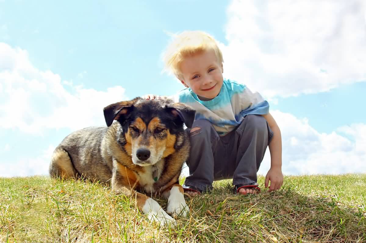 Ten Fun Activities You and Your Mixed Breed Can Enjoy Together