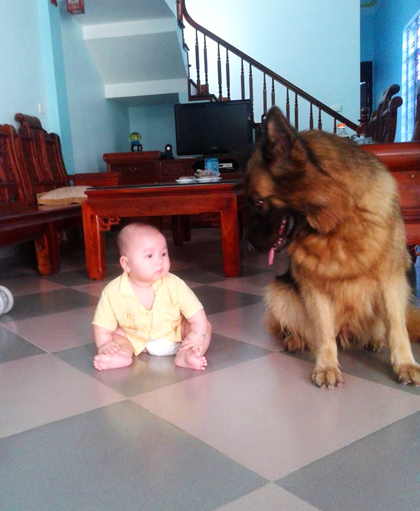 Những bà vợ có chồng cuồng chim, mê gà, xem chó như con