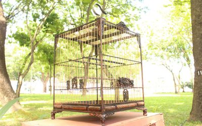 Một số lồng chim chào mào đẹp giá rẻ