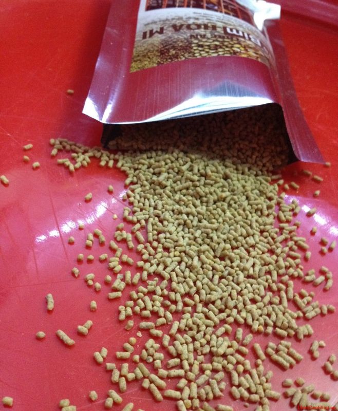 chim hoạ mi ăn gì