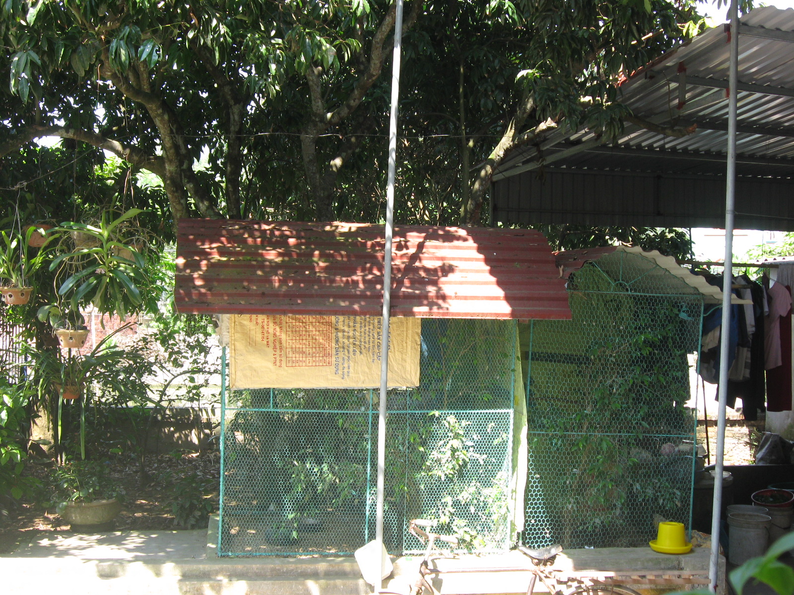 chimcugay ảnh của chimcugay.com.vn