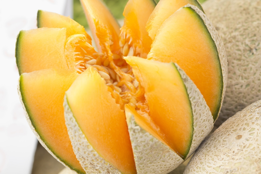 Chó có thể ăn dưa đỏ? Chó có thể ăn dưa đỏ?