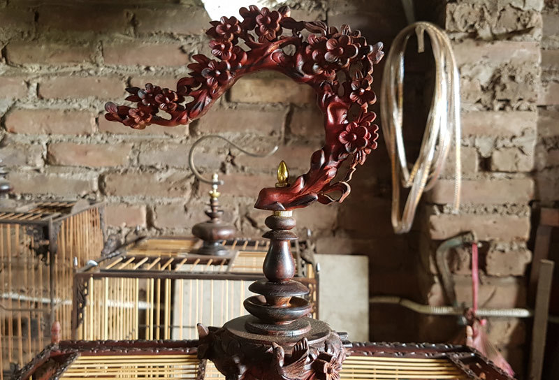 Những tuyệt phẩm ngàn USD nức tiếng giới chơi chim Những tuyệt phẩm ngàn USD nức tiếng giới chơi chim