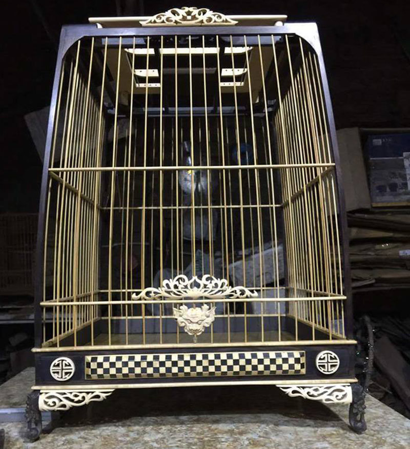 Những tuyệt phẩm ngàn USD nức tiếng giới chơi chim Những tuyệt phẩm ngàn USD nức tiếng giới chơi chim