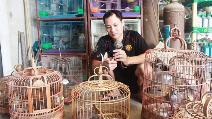 Anh Trương Quốc Thắng chăm sóc đàn cu gáy