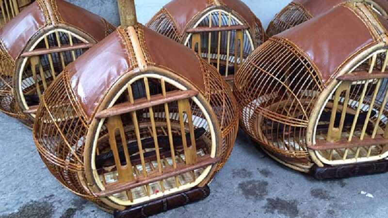 Cách làm chuồng chim cu gáy
