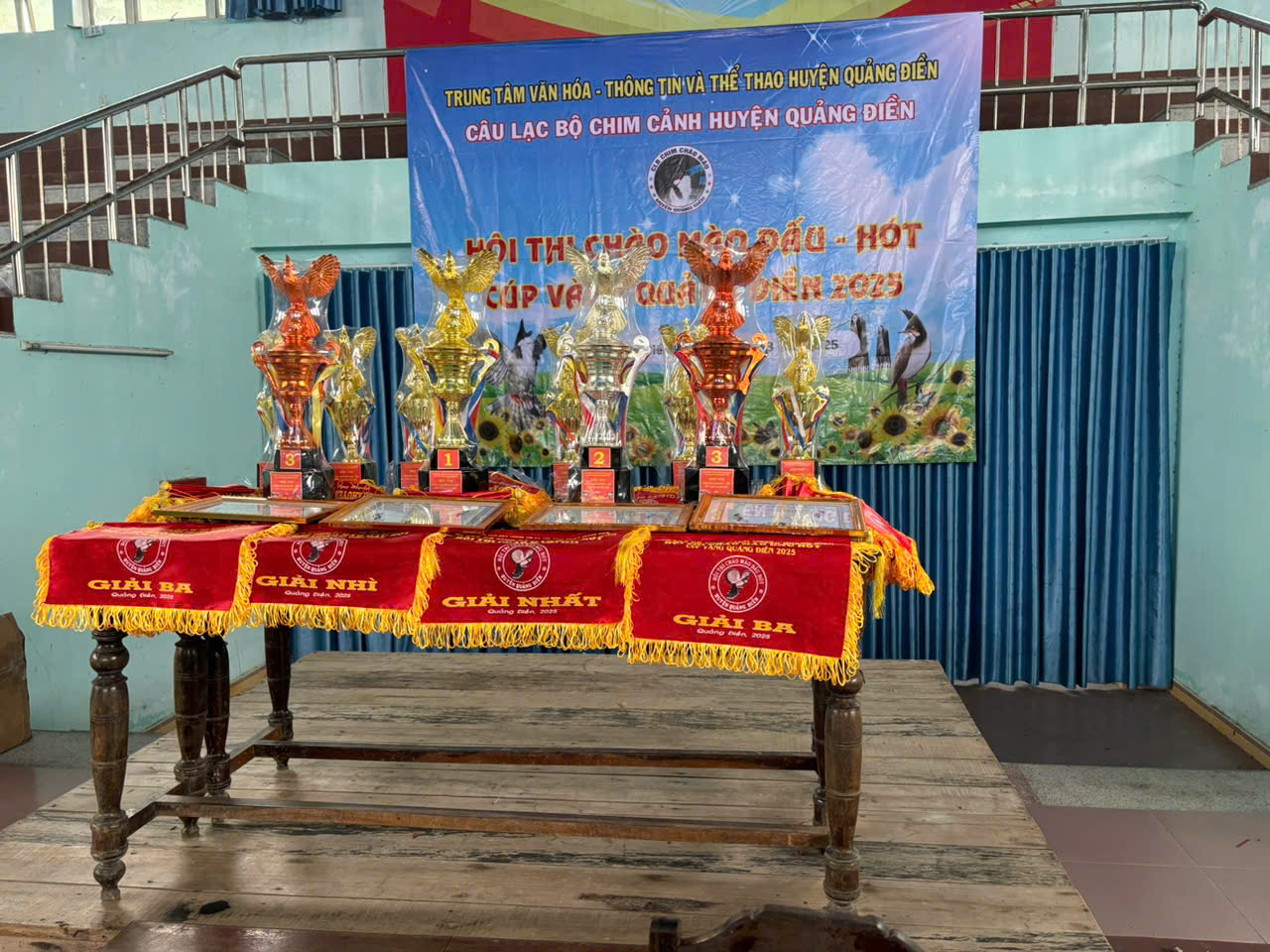 Cho mượn nhà thi đấu nhưng "không hề biết" hội thi chim chào mào "chui"?- Ảnh 2. Cho mượn nhà thi đấu nhưng "không hề biết" hội thi chim chào mào "chui"?- Ảnh 2.