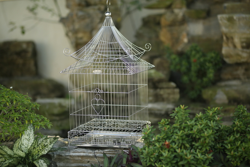 Chọn chỗ đặt lồng chim phù hợp