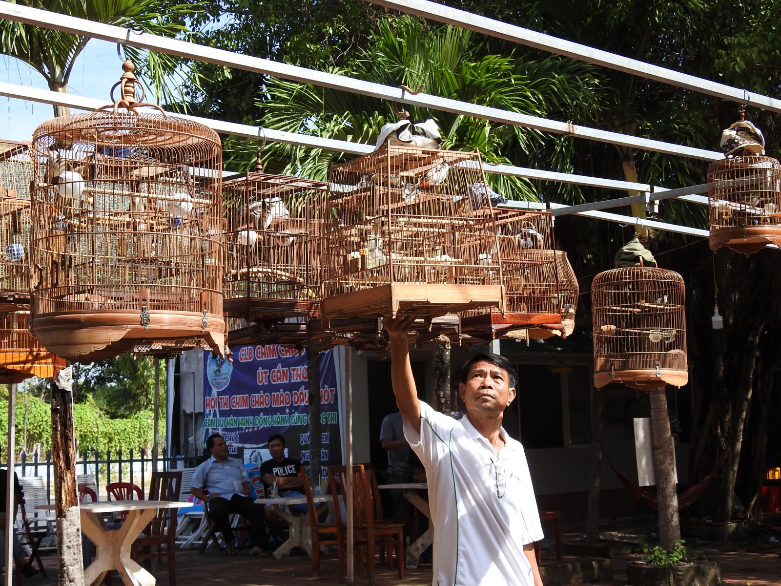 Giảm stress cho chim cảnh