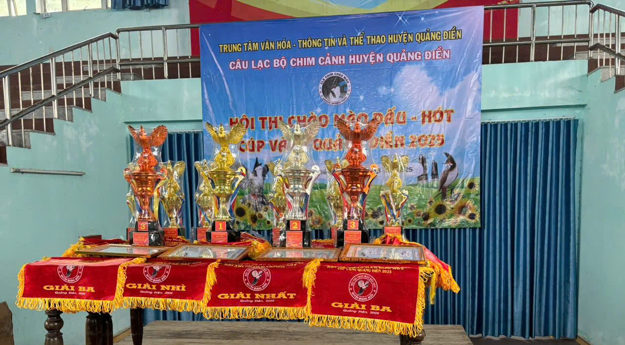 Sở không ủng hộ hội thi chim chào mào, ở huyện vẫn thi công khai- Ảnh 2. Sở không ủng hộ hội thi chim chào mào, ở huyện vẫn thi công khai- Ảnh 2.