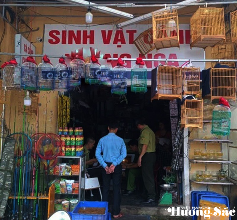 Nuôi nhốt chim hoang dã: Những thủ tục bắt buộc phải hoàn thiện Nuôi nhốt chim hoang dã: Những thủ tục bắt buộc phải hoàn thiện